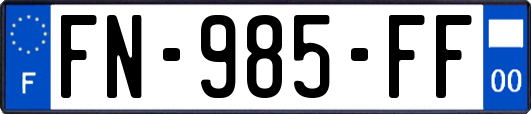 FN-985-FF