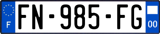 FN-985-FG