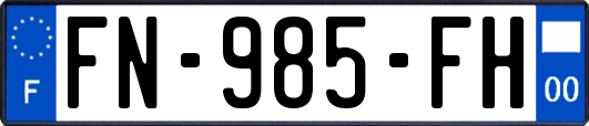 FN-985-FH