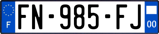FN-985-FJ