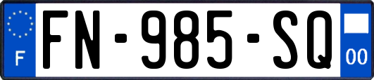 FN-985-SQ