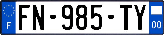 FN-985-TY