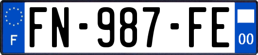 FN-987-FE