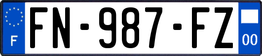FN-987-FZ