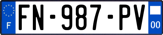 FN-987-PV