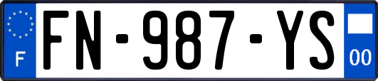 FN-987-YS