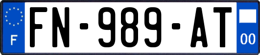 FN-989-AT