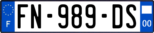 FN-989-DS