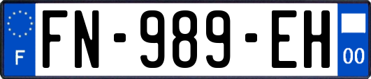 FN-989-EH