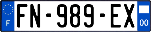 FN-989-EX