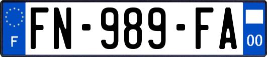 FN-989-FA