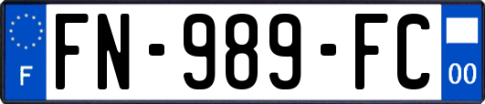 FN-989-FC