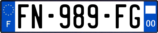 FN-989-FG