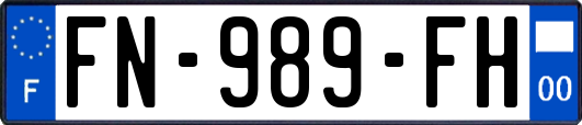 FN-989-FH