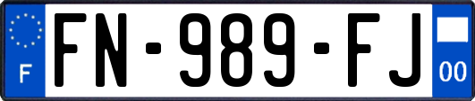 FN-989-FJ