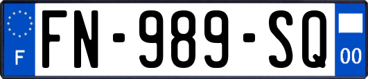 FN-989-SQ