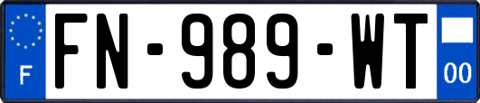 FN-989-WT