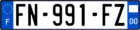 FN-991-FZ