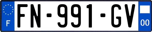 FN-991-GV