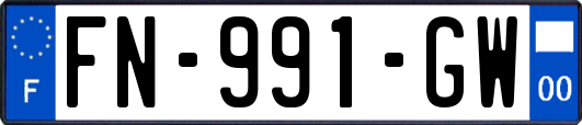 FN-991-GW