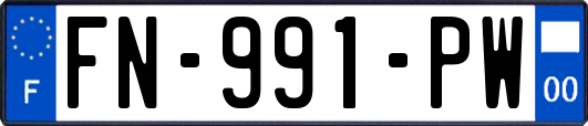 FN-991-PW