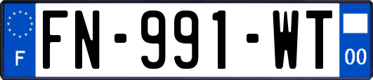 FN-991-WT