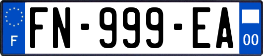 FN-999-EA