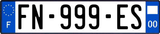 FN-999-ES
