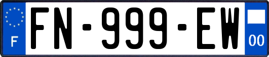 FN-999-EW