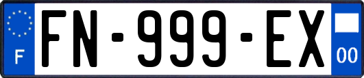 FN-999-EX