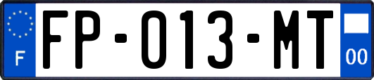 FP-013-MT