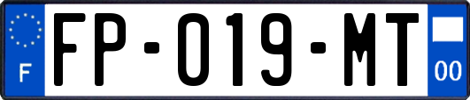 FP-019-MT