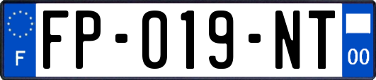 FP-019-NT