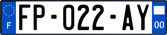 FP-022-AY