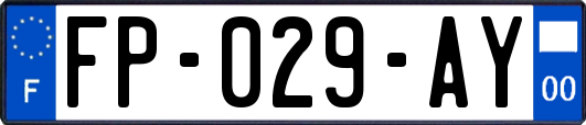 FP-029-AY