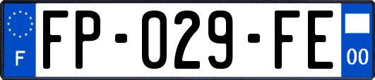 FP-029-FE