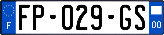 FP-029-GS