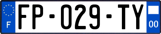 FP-029-TY
