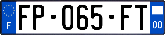 FP-065-FT