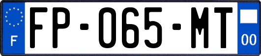 FP-065-MT