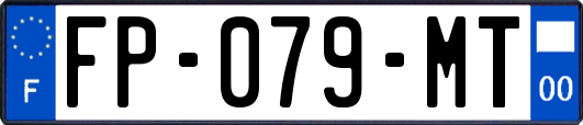 FP-079-MT