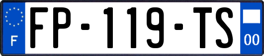 FP-119-TS