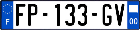FP-133-GV