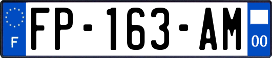 FP-163-AM