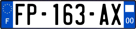 FP-163-AX