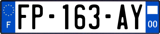 FP-163-AY