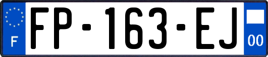FP-163-EJ