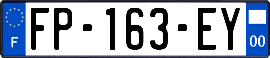 FP-163-EY