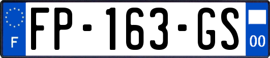 FP-163-GS