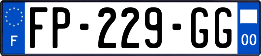 FP-229-GG